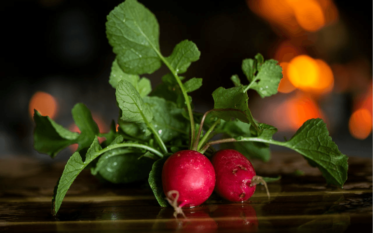 Top 9 Water-Rich Vegetables in UAE Markets-  Radishes